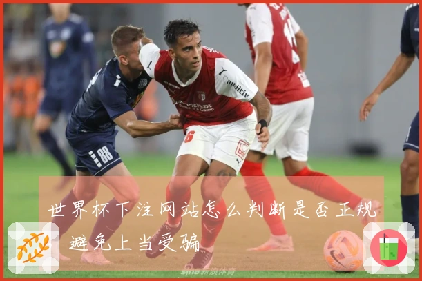 世界杯下注网站怎么判断是否正规，避免上当受骗 أور