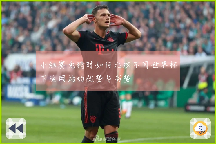 小组赛竞猜时如何比较不同世界杯下注网站的优势与劣势