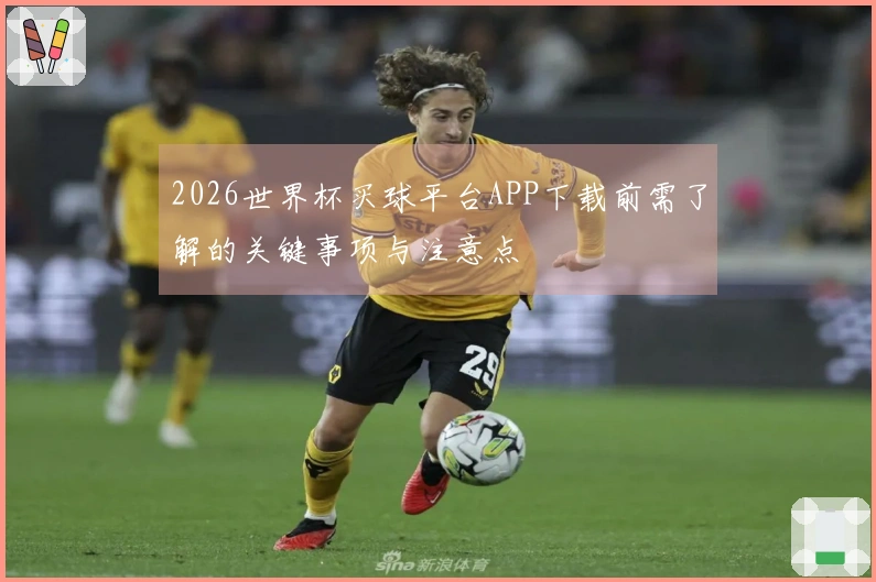 2026世界杯买球平台APP下载前需了解的关键事项与注意点