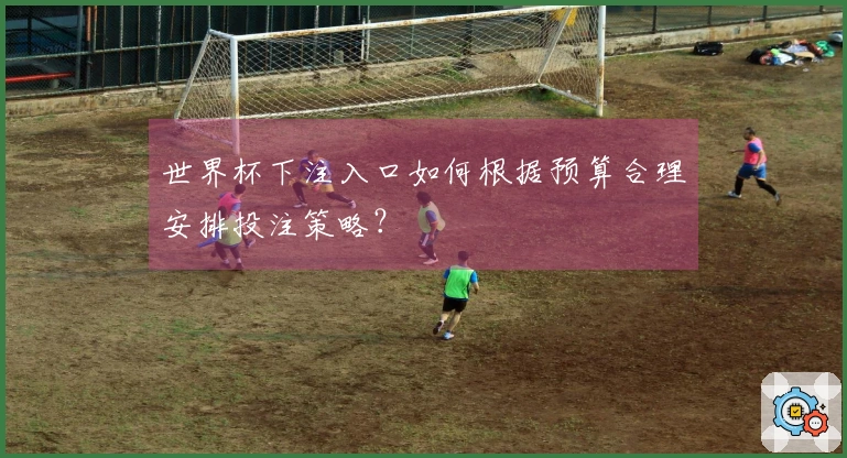 世界杯下注入口如何根据预算合理安排投注策略？