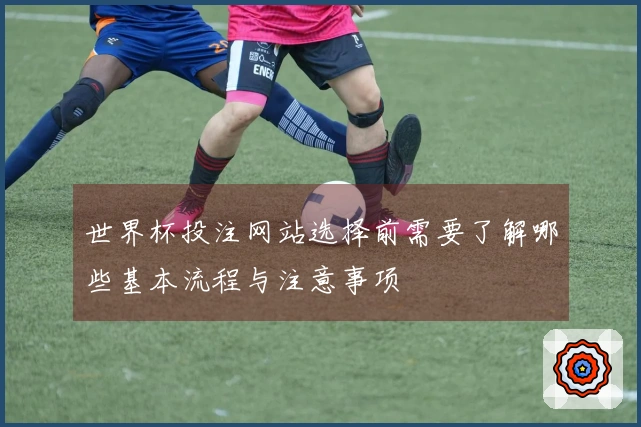 世界杯投注网站选择前需要了解哪些基本流程与注意事项