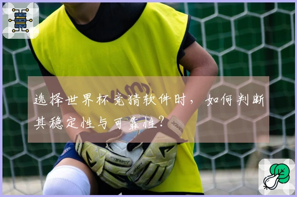选择世界杯竞猜软件时，如何判断其稳定性与可靠性？