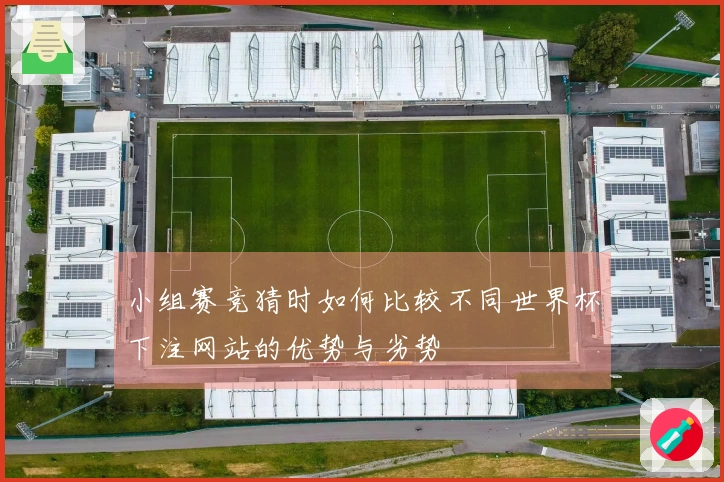 小组赛竞猜时如何比较不同世界杯下注网站的优势与劣势