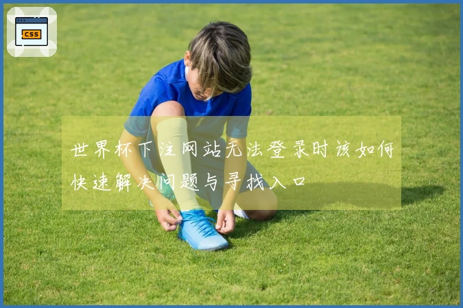 世界杯下注网站无法登录时该如何快速解决问题与寻找入口