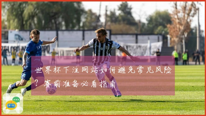 世界杯下注网站如何避免常见风险？赛前准备必看指南