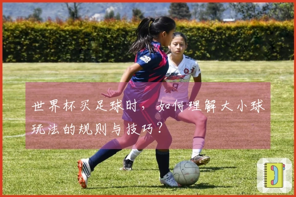 世界杯买足球时，如何理解大小球玩法的规则与技巧？