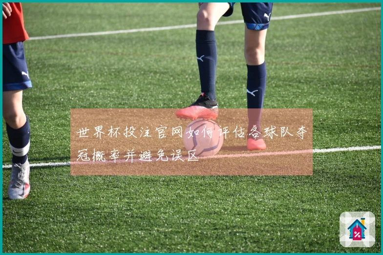 世界杯投注官网如何评估各球队夺冠概率并避免误区