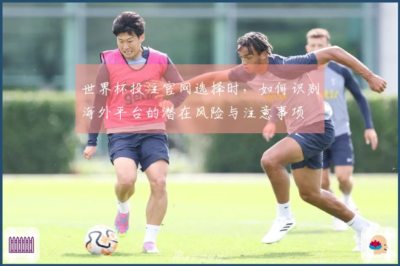 世界杯投注官网选择时，如何识别海外平台的潜在风险与注意事项