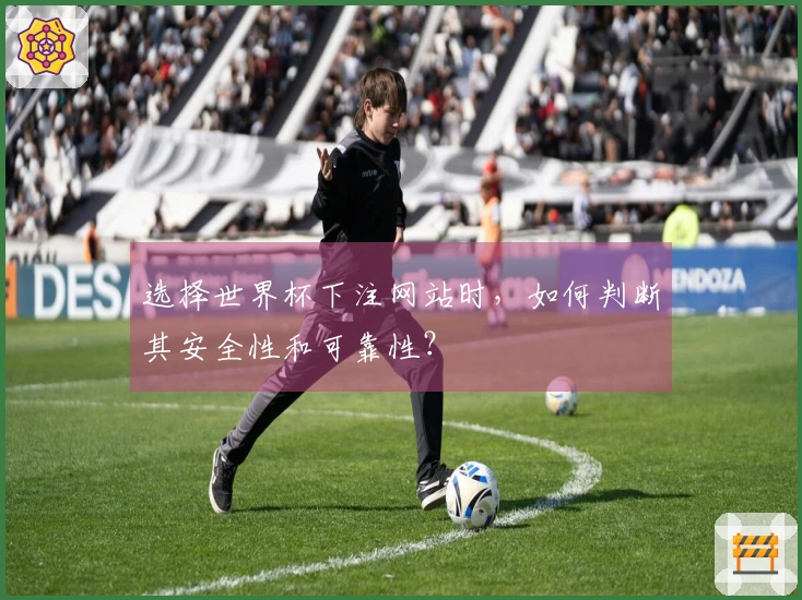 选择世界杯下注网站时，如何判断其安全性和可靠性？