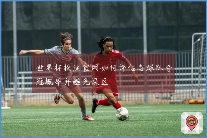 世界杯投注官网如何评估各球队夺冠概率并避免误区