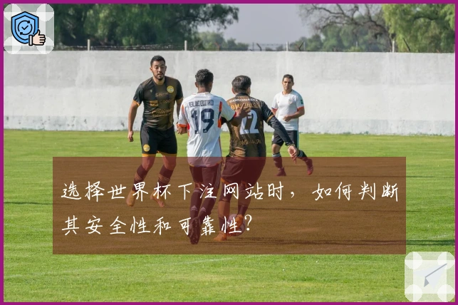 选择世界杯下注网站时，如何判断其安全性和可靠性？