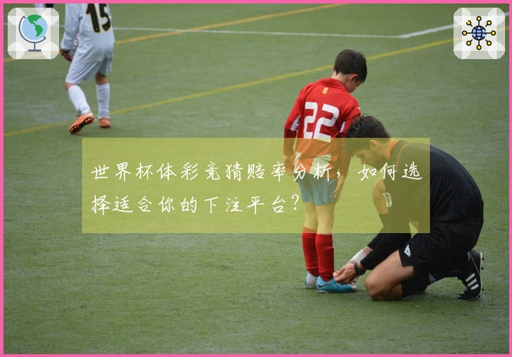 世界杯体彩竞猜赔率分析，如何选择适合你的下注平台？