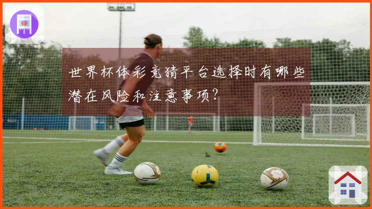 世界杯体彩竞猜平台选择时有哪些潜在风险和注意事项？