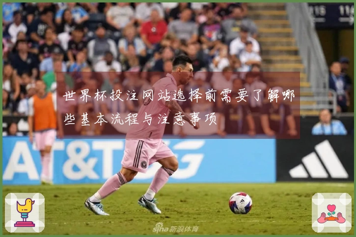 世界杯投注网站选择前需要了解哪些基本流程与注意事项