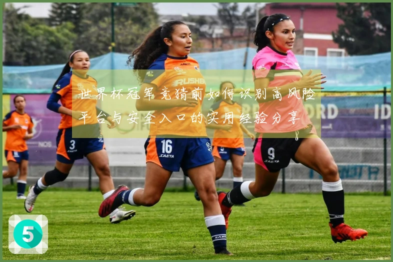 世界杯冠军竞猜前如何识别高风险平台与安全入口的实用经验分享