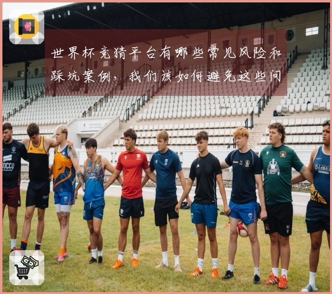 世界杯竞猜平台有哪些常见风险和踩坑案例，我们该如何避免这些问题