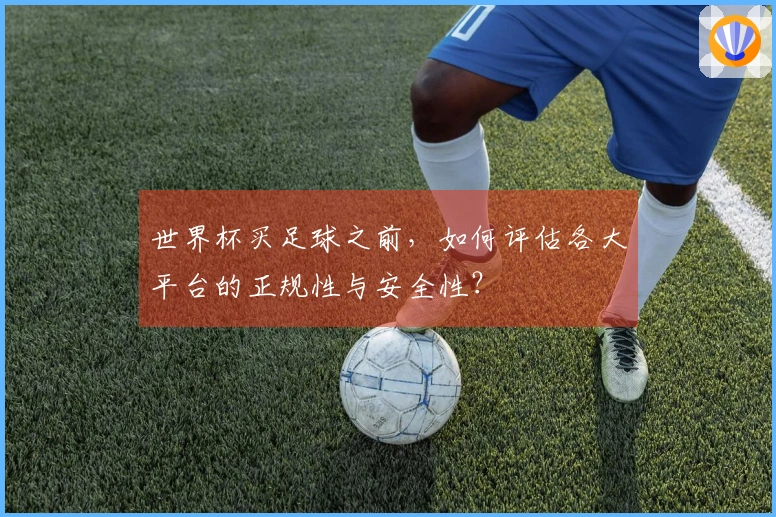 世界杯买足球之前，如何评估各大平台的正规性与安全性？