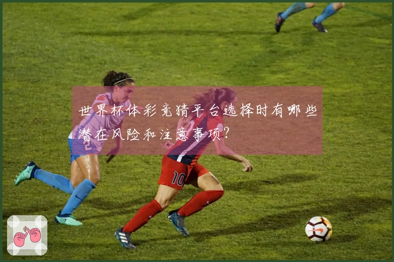 世界杯体彩竞猜平台选择时有哪些潜在风险和注意事项？