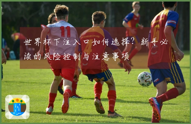 世界杯下注入口如何选择？新手必读的风险控制与注意事项