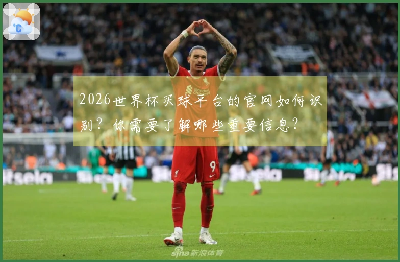 2026世界杯买球平台的官网如何识别？你需要了解哪些重要信息？