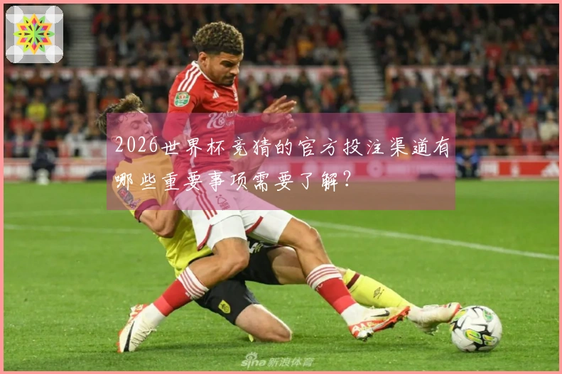 2026世界杯竞猜的官方投注渠道有哪些重要事项需要了解？