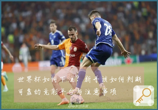世界杯如何下注？新手该如何判断可靠的竞彩平台与注意事项