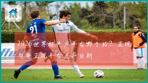2026世界杯开户平台哪个好？正规与非正规平台差异分析