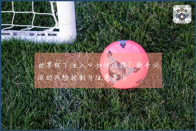 世界杯下注入口如何选择？新手必读的风险控制与注意事项