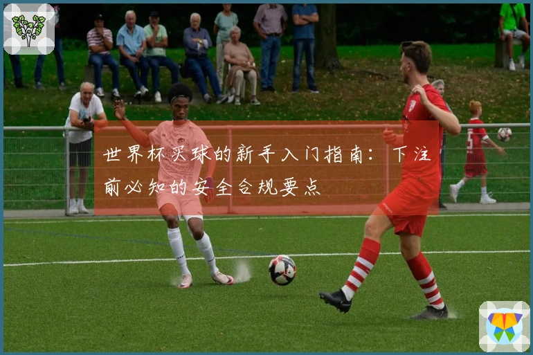 世界杯买球的新手入门指南：下注前必知的安全合规要点